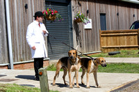 May 24 Hound Show